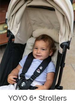 yoyo 6+ copy.jpg__PID:28a60718-79cd-4db8-9618-d847ff782f37